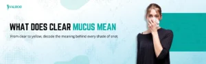 What Does Clear Mucus Mean Color Guide to Your Snot